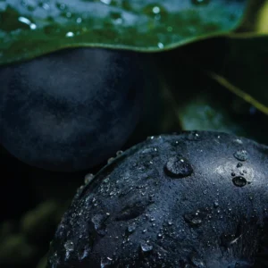 Alternative view of RELX Infinity2 Pod-Blueberry Splash