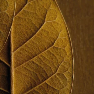 Alternative view of RELX Infinity2 Pod-Classic Tobacco