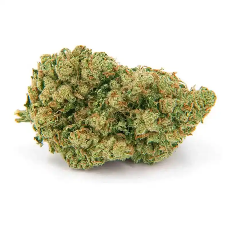 Flores CBD Amnesia 5gr – Greeneo - Image 2