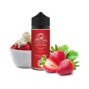 SteamTrain – Signalman – 100ml
